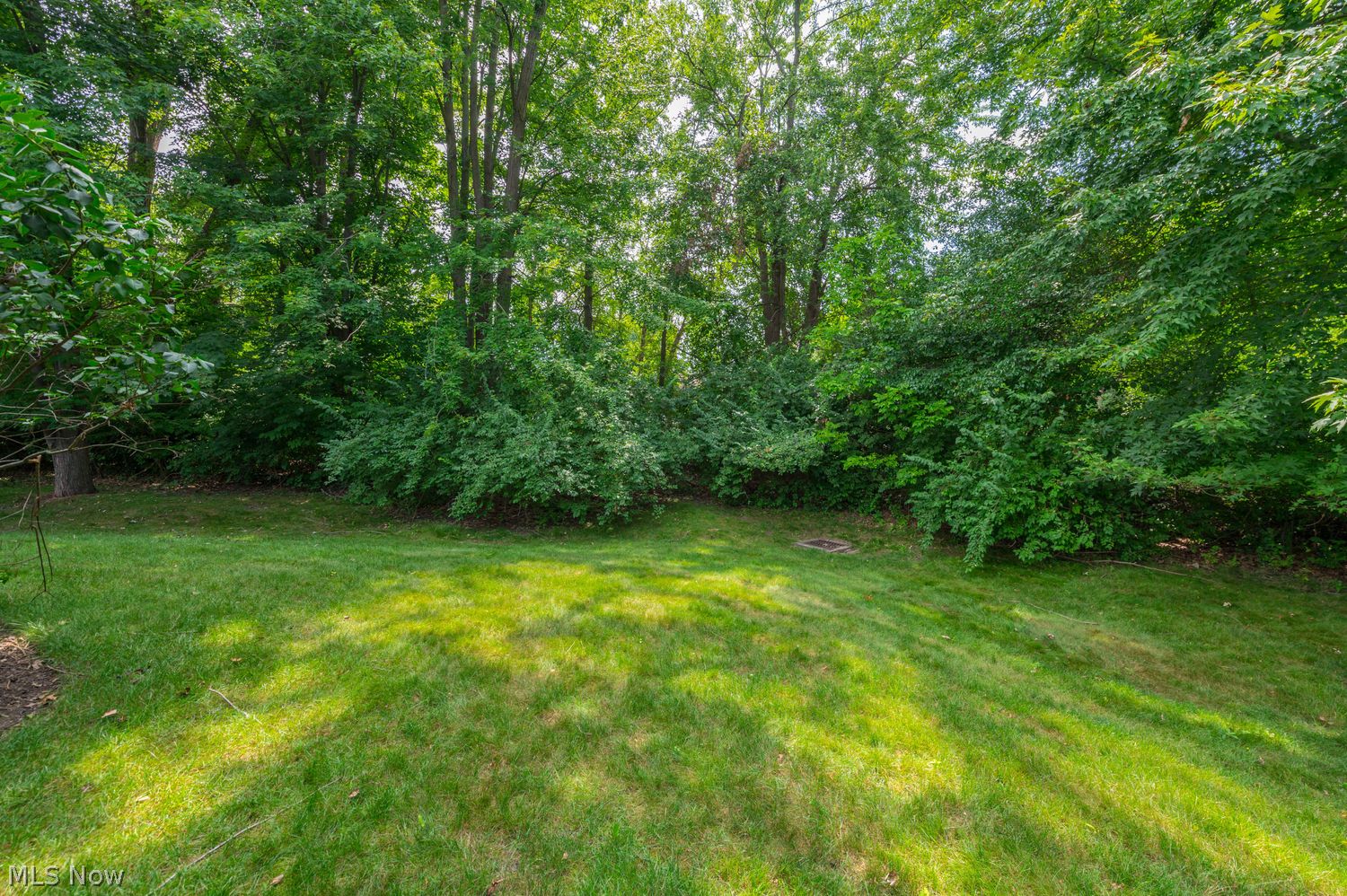 2442 Halifax Court Avon OH 44011