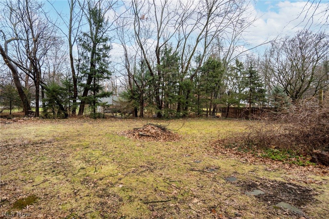 1114 Briarcliff Avenue Alliance OH 44601