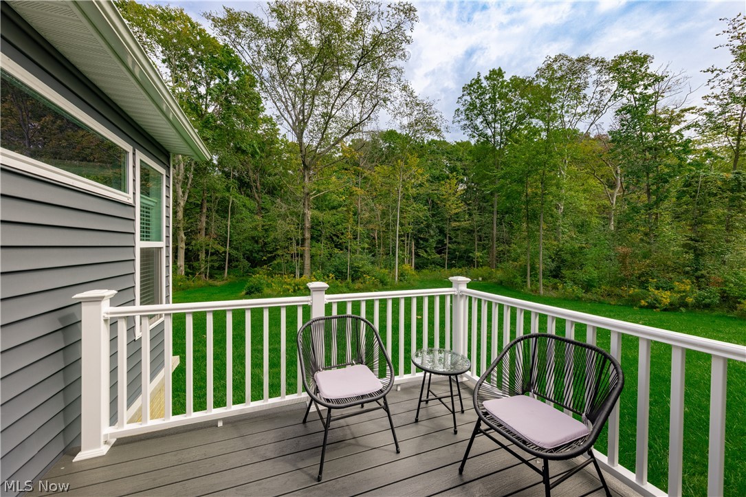 14665 Dora Drive Newbury OH 44065