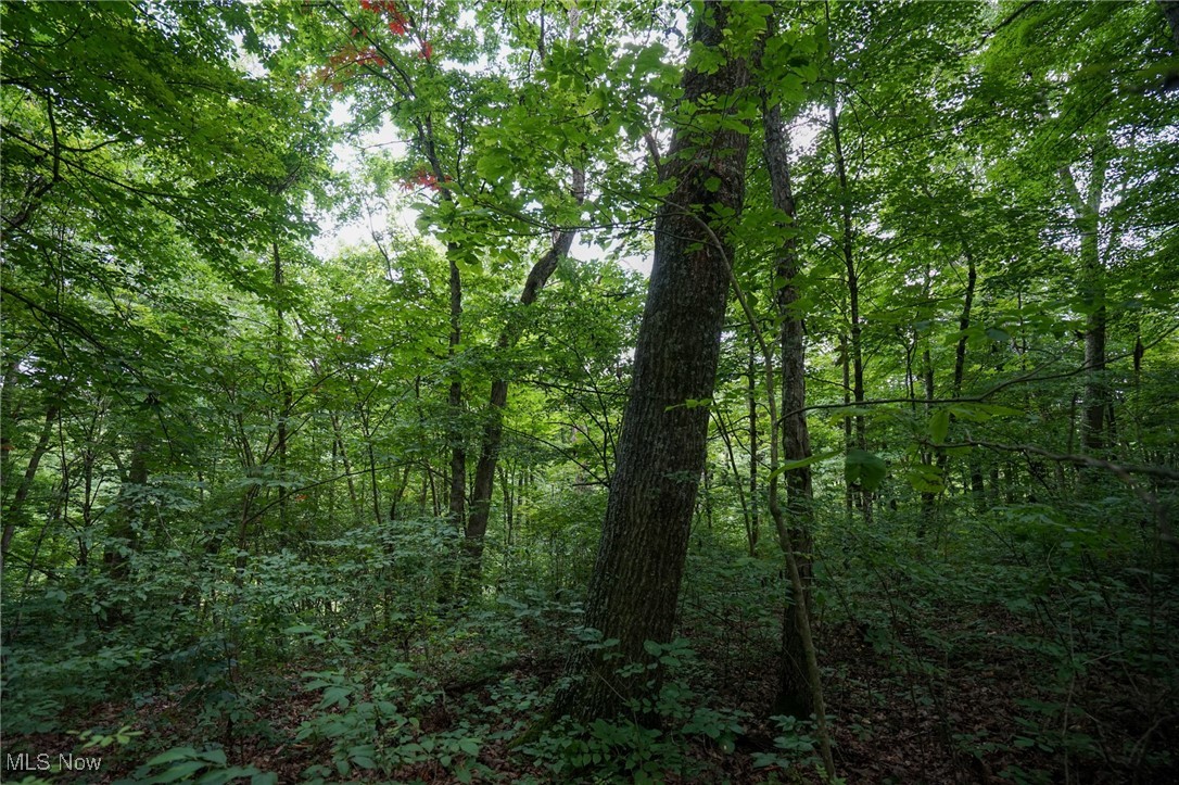 34799 Paw Road Lower Salem OH 45745
