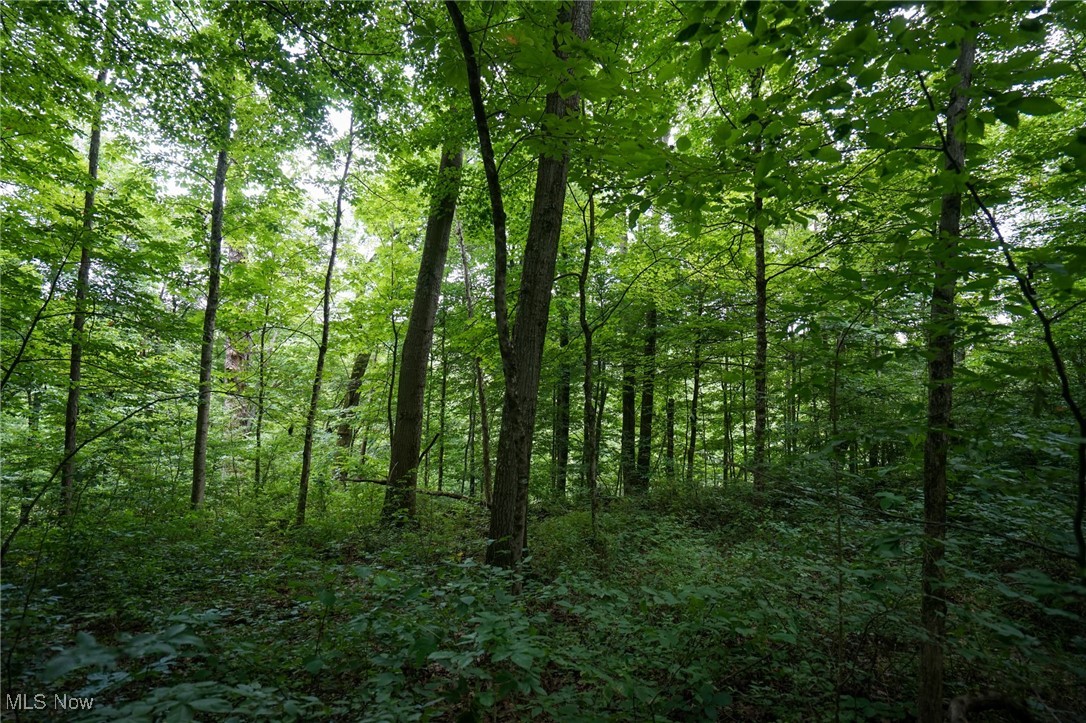 34799 Paw Road Lower Salem OH 45745