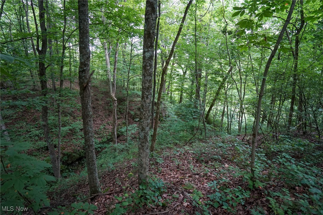 34799 Paw Road Lower Salem OH 45745