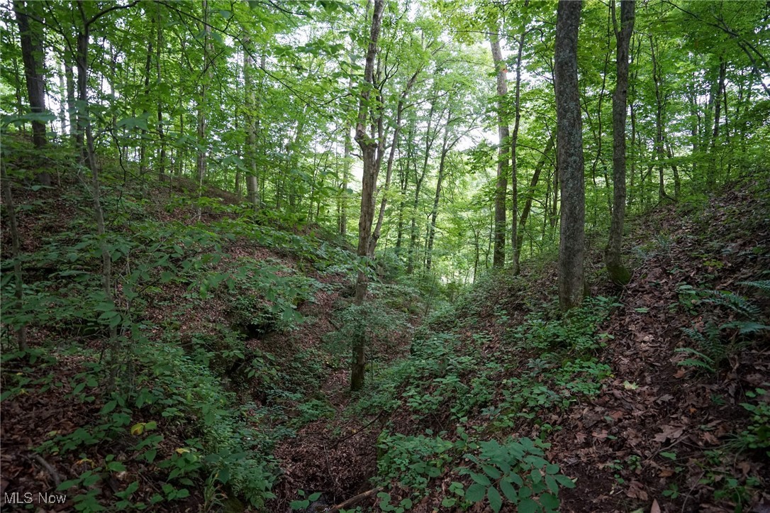34799 Paw Road Lower Salem OH 45745