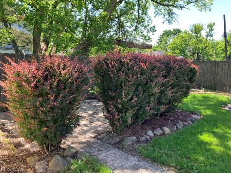 502 Dewey Avenue Elyria OH 44035