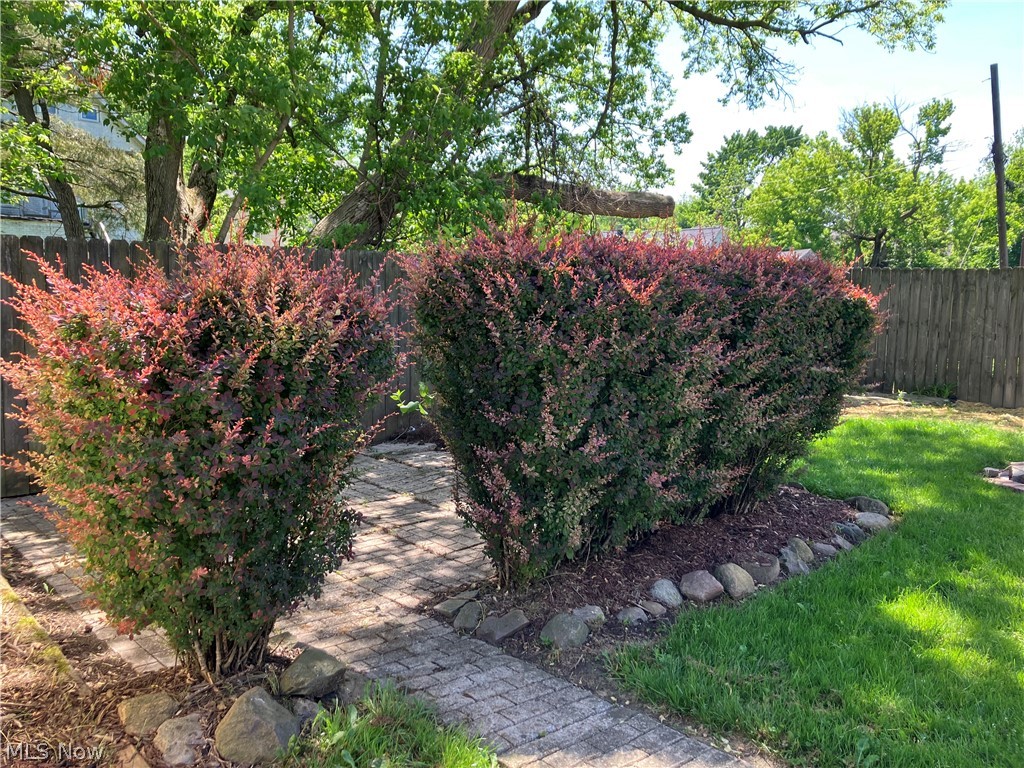 502 Dewey Avenue Elyria OH 44035