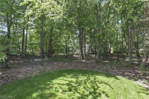 705 Lake Trail Aurora OH 44202