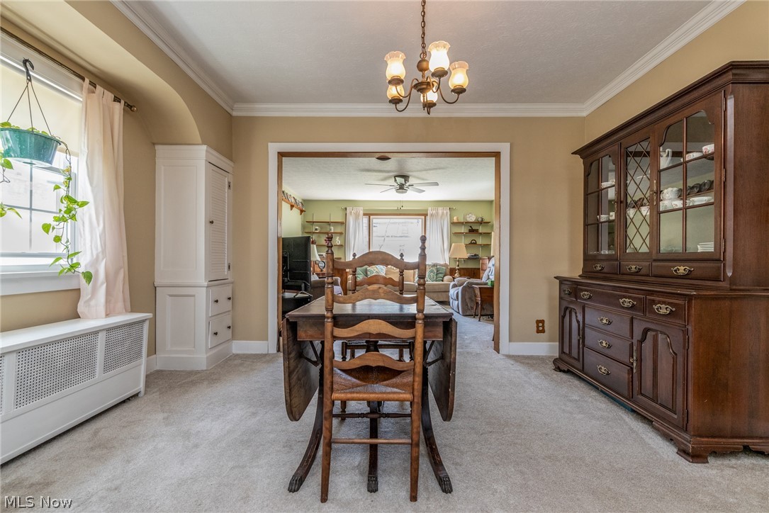 4226 Bushnell Road University Heights OH 44118
