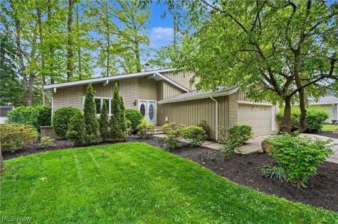 6536 Duneden Avenue Solon OH 44139