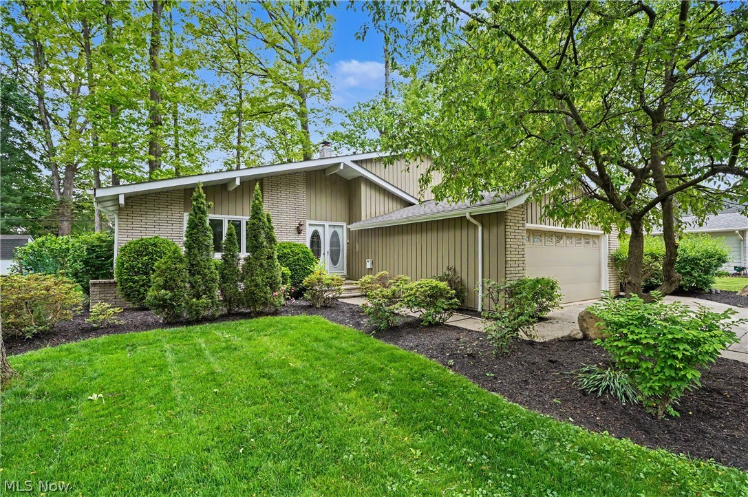 6536 Duneden Avenue Solon OH 44139