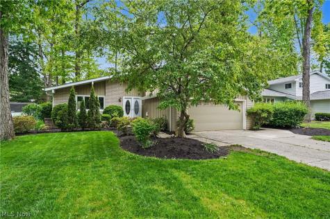 6536 Duneden Avenue Solon OH 44139