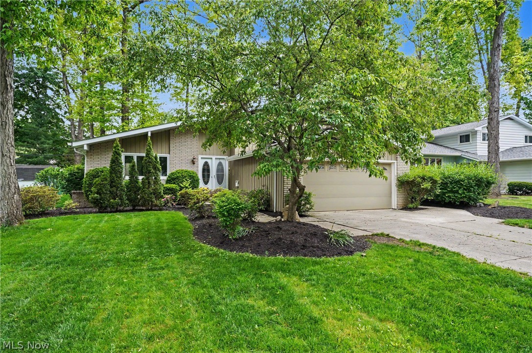6536 Duneden Avenue Solon OH 44139