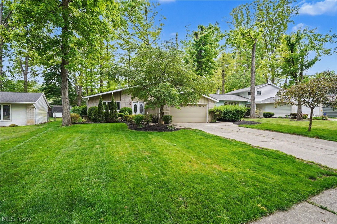 6536 Duneden Avenue Solon OH 44139