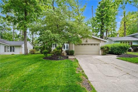 6536 Duneden Avenue Solon OH 44139