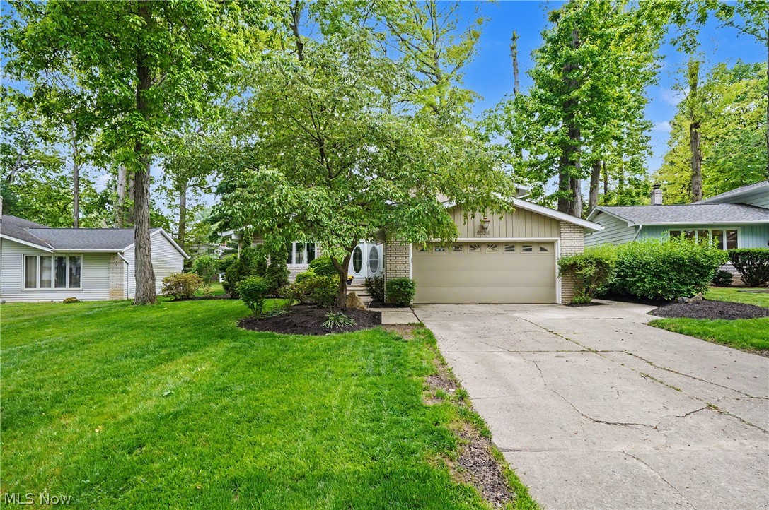 6536 Duneden Avenue Solon OH 44139