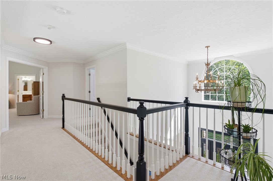 780 S Sussex Court Aurora OH 44202