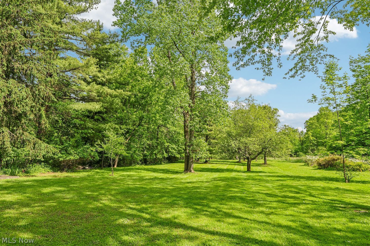 36241 Eddy Road Willoughby Hills OH 44094