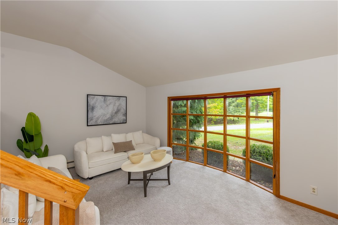 4894 Coldbrook Drive Mantua OH 44255