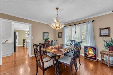 8411 N Bluff Drive Broadview Heights OH 44147