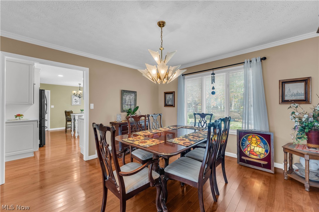 8411 N Bluff Drive Broadview Heights OH 44147