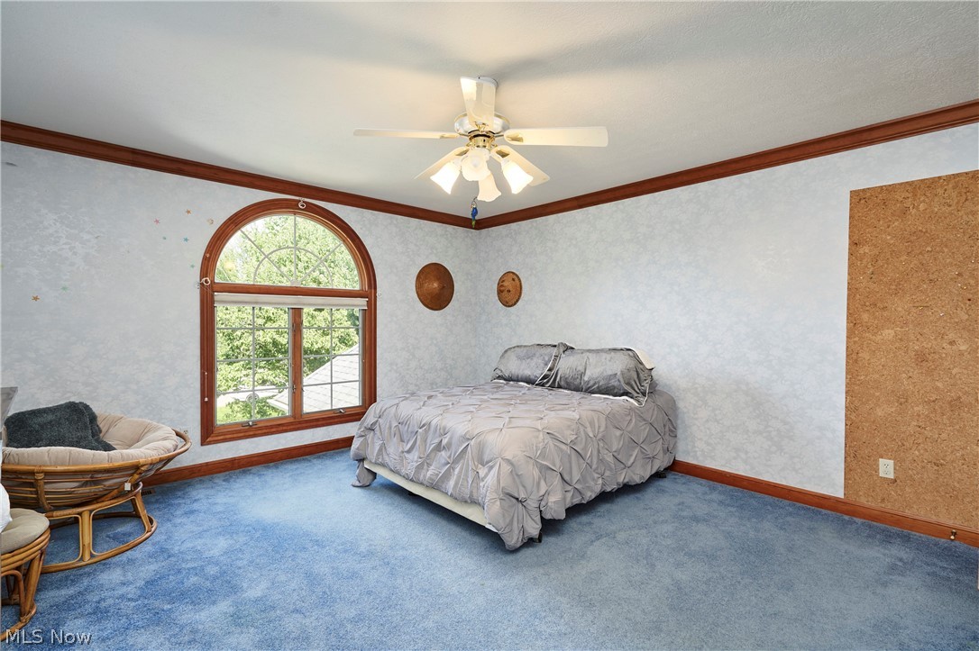 3740 Winterberry Drive Akron OH 44333