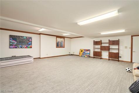 3740 Winterberry Drive Akron OH 44333