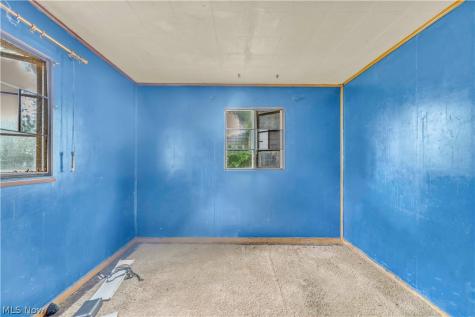 12518 Leeila Avenue Cleveland OH 44135