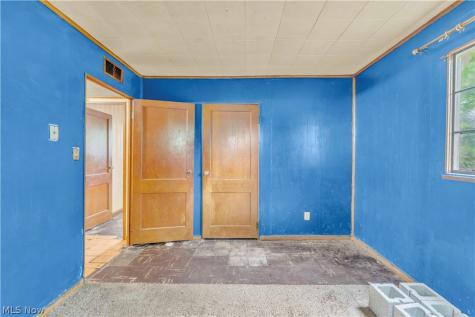 12518 Leeila Avenue Cleveland OH 44135