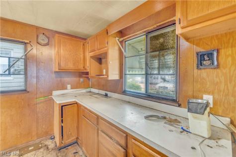 12518 Leeila Avenue Cleveland OH 44135