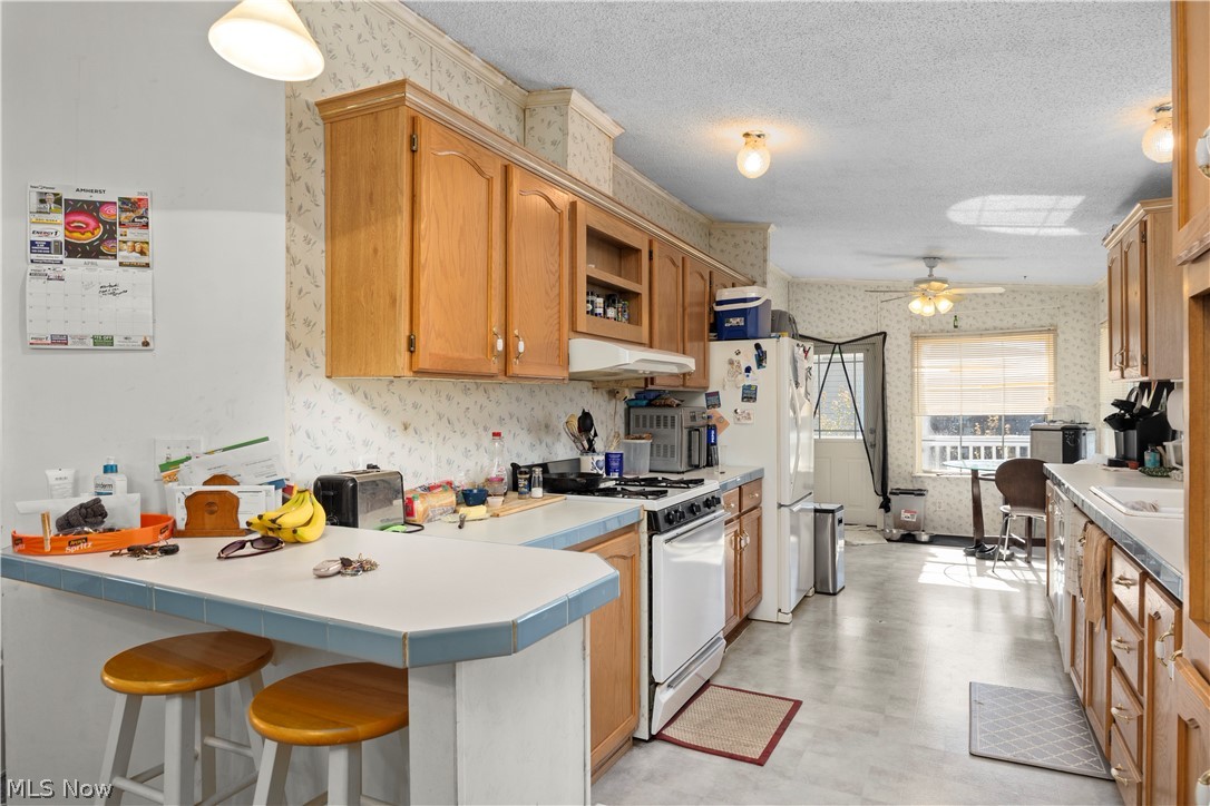 69 Mirage Avenue Amherst OH 44001