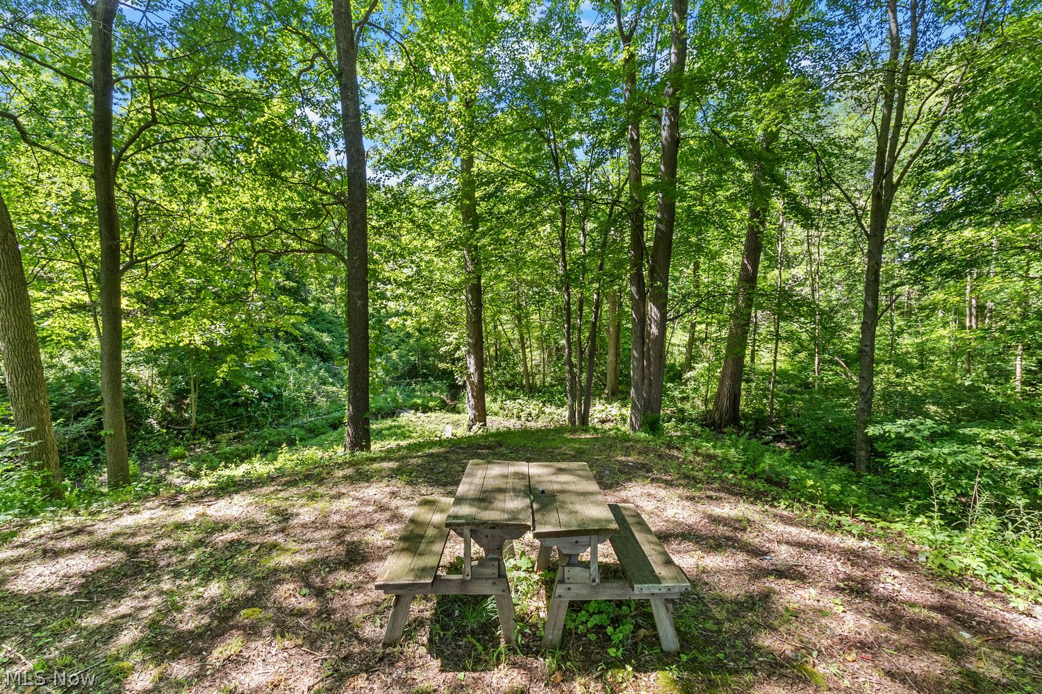 2272 Mcmackin Road Madison OH 44057