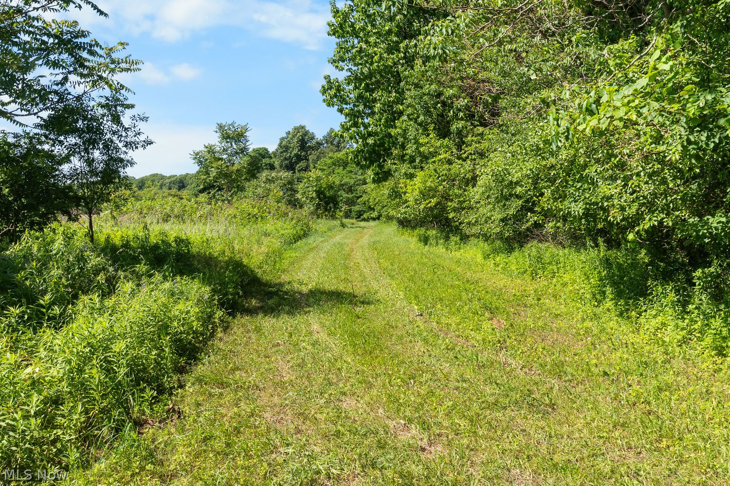 2272 Mcmackin Road Madison OH 44057