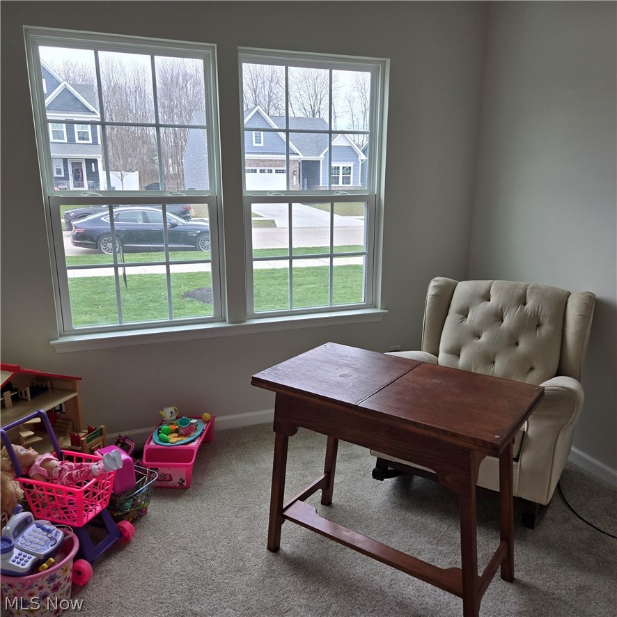 15229 Timber Ridge Drive Middlefield OH 44062