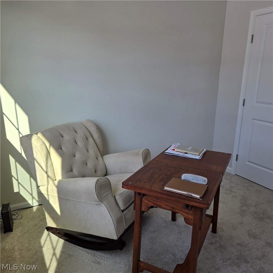 15229 Timber Ridge Drive Middlefield OH 44062