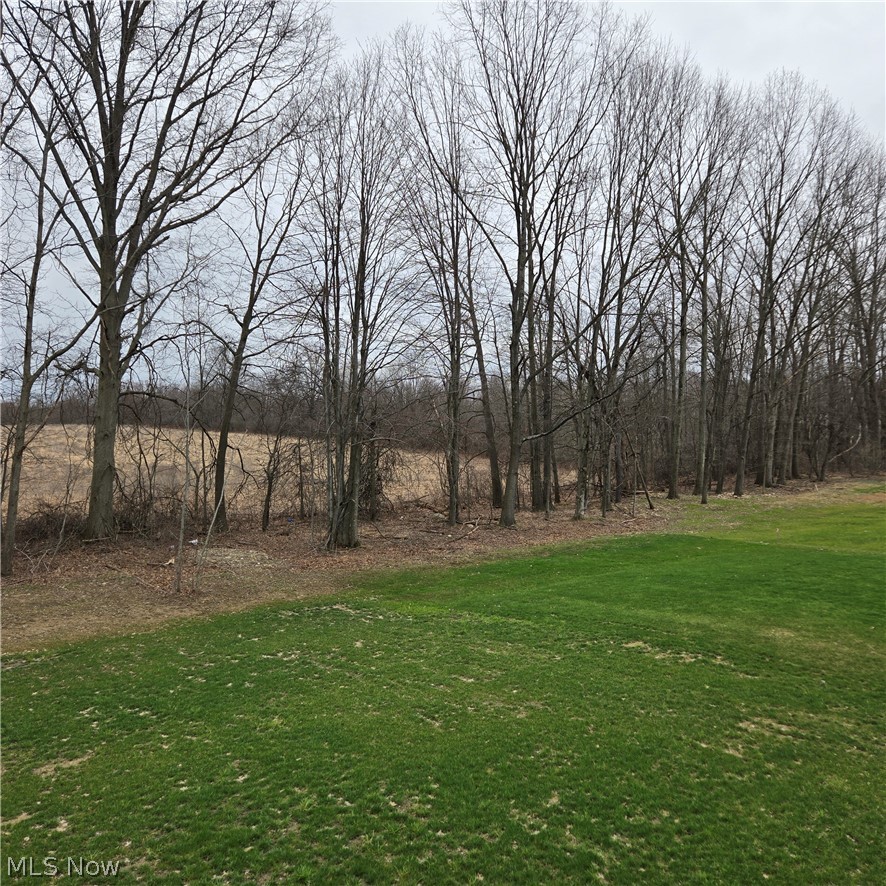 15229 Timber Ridge Drive Middlefield OH 44062