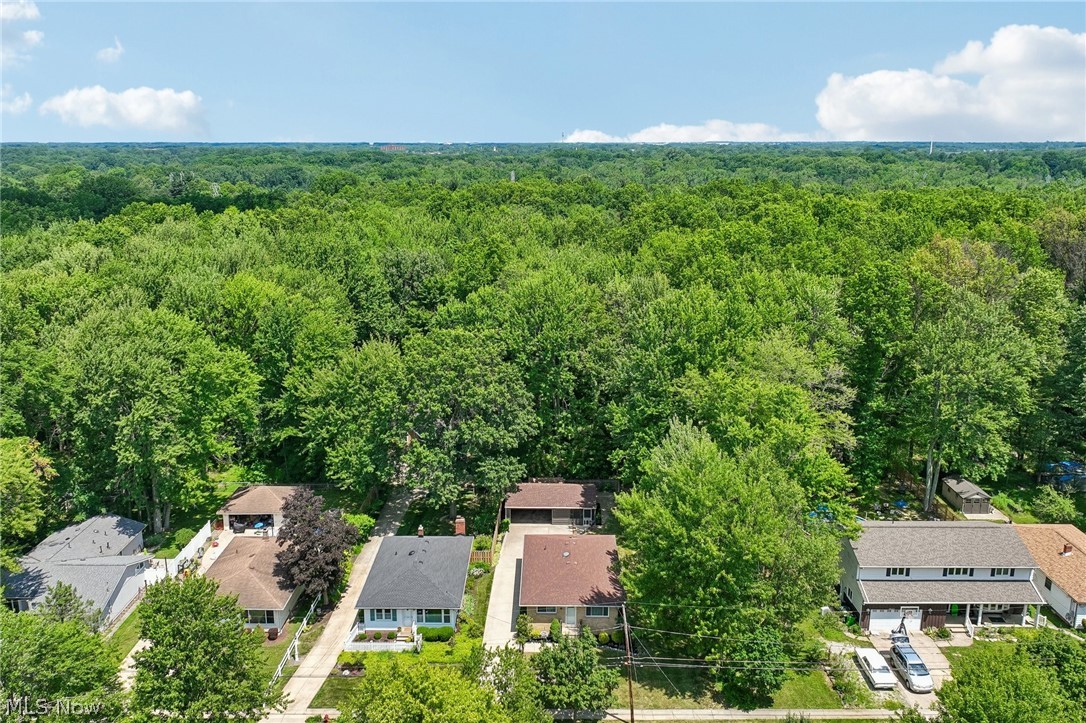 223 Dorland Avenue Berea OH 44017