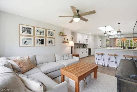4405 Chestnut Road Independence OH 44131