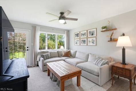 4405 Chestnut Road Independence OH 44131