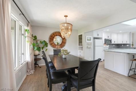 4405 Chestnut Road Independence OH 44131