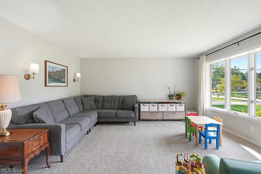 4405 Chestnut Road Independence OH 44131