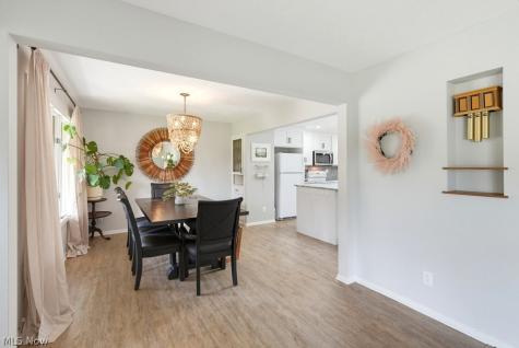 4405 Chestnut Road Independence OH 44131