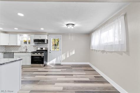 1637 Ridgewood Court Twinsburg OH 44087