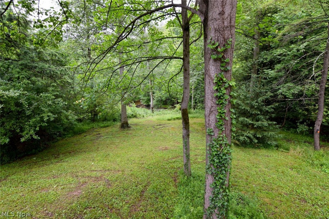 13540 Ledgebrook Lane Chagrin Falls OH 44022