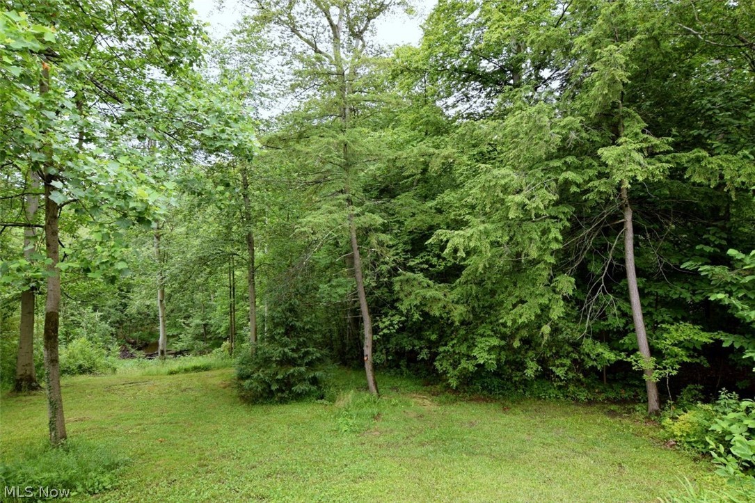13540 Ledgebrook Lane Chagrin Falls OH 44022