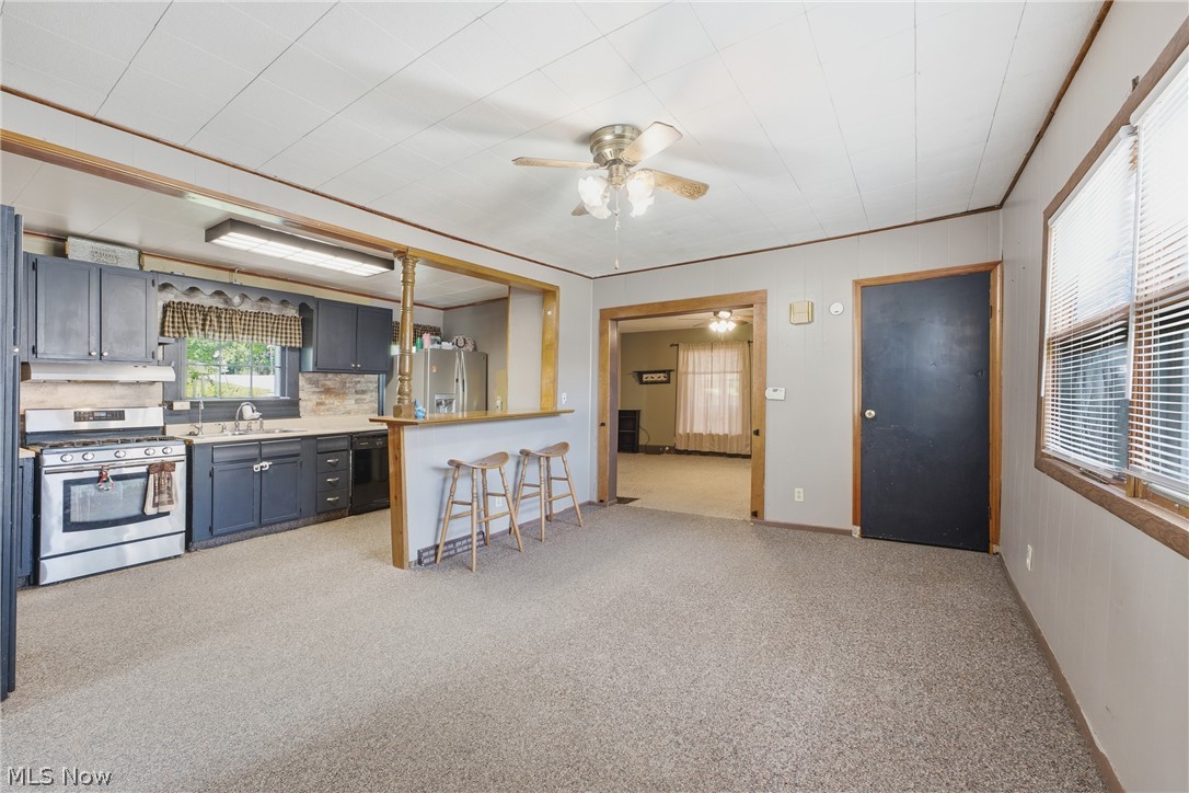 245 E Robinson Street Shreve OH 44676