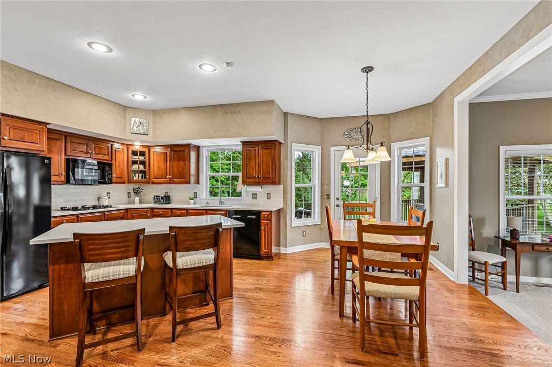 2965 Greenspire Lane Akron OH 44333