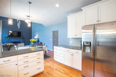 1060 Sugarhouse Lane Medina OH 44256