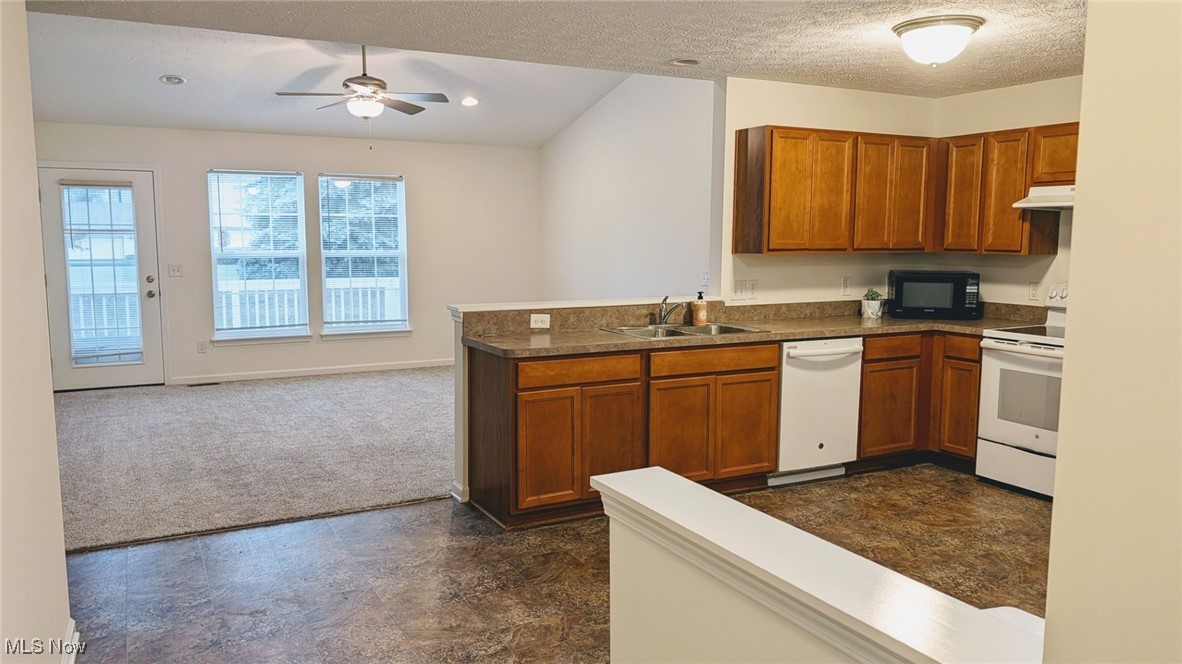 4232 Fairbanks Court Lorain OH 44053