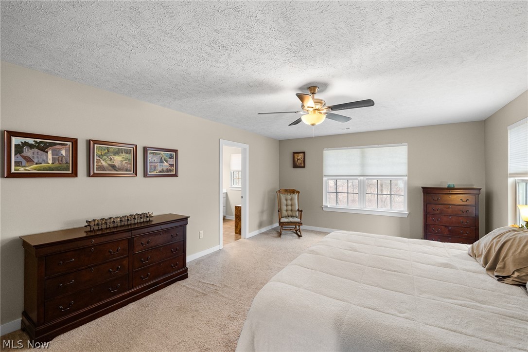 4955 Clifton Mill Drive North Ridgeville OH 44039