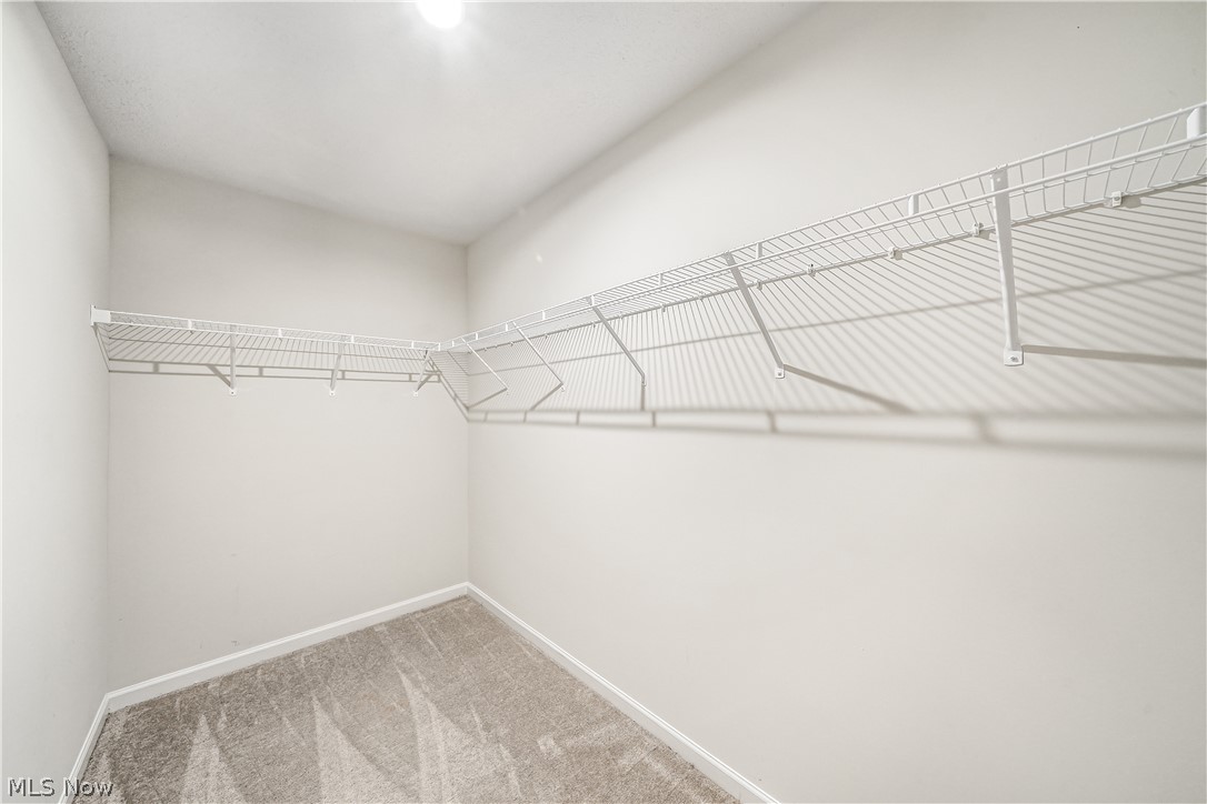 3189 Sunny Brook Drive Akron OH 44312