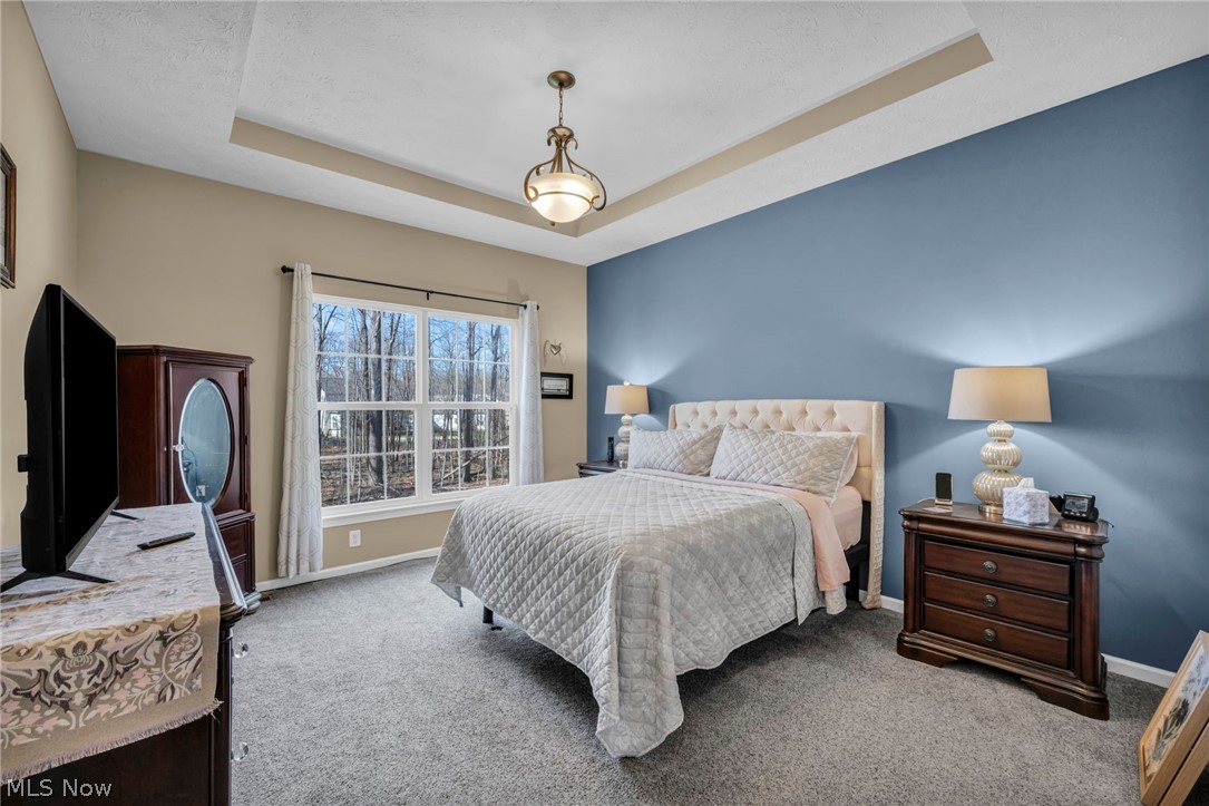 10458 Dogwood Drive Aurora OH 44202